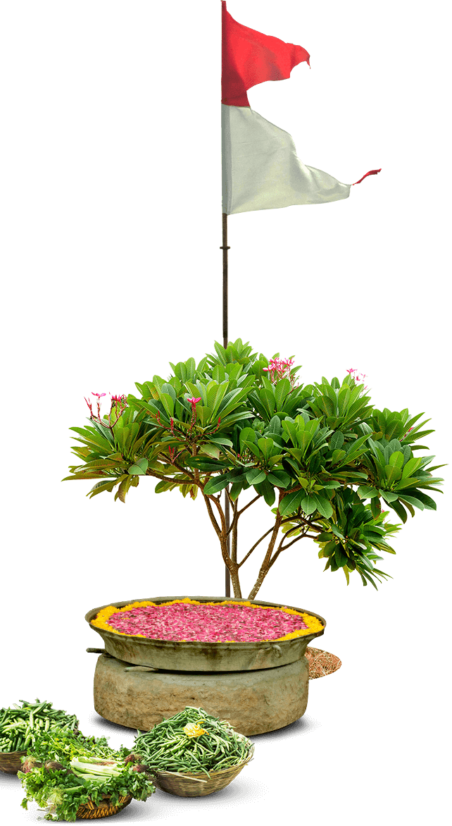flag