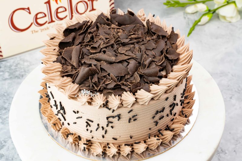 Chocolate Brown