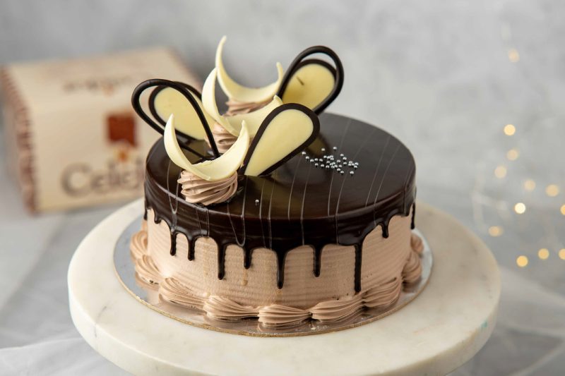 Chocolate Delight