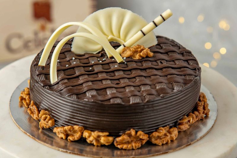 Choco Walnut